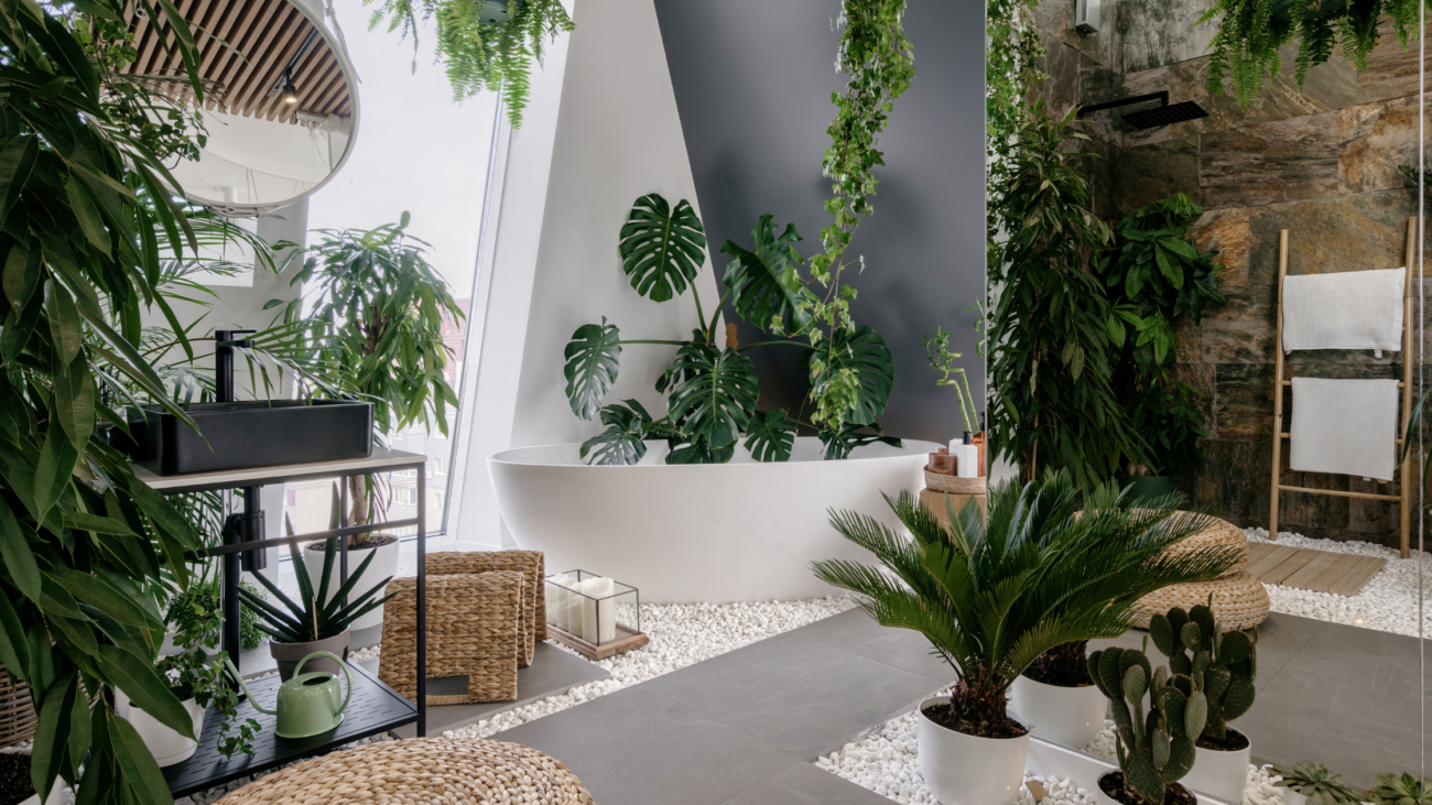 Indoor plants style corner with modern green decor, styled with various potted plants and natural textures in a cozy space.